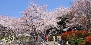 飛鳥山公園