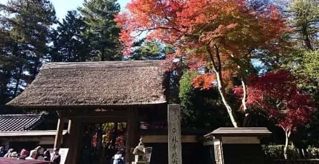 平林寺